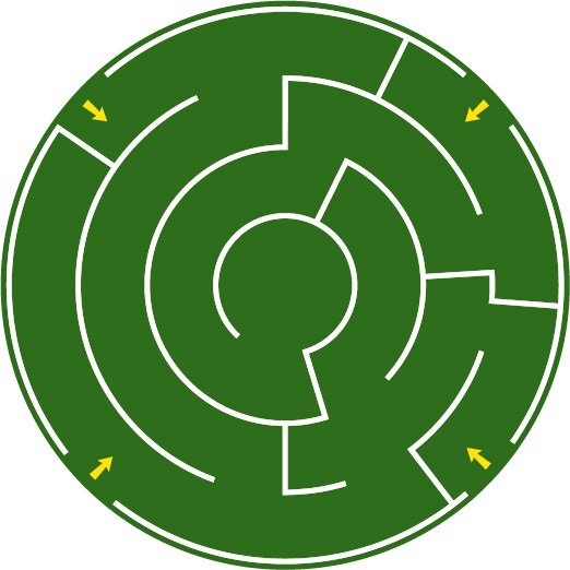 Maze circle