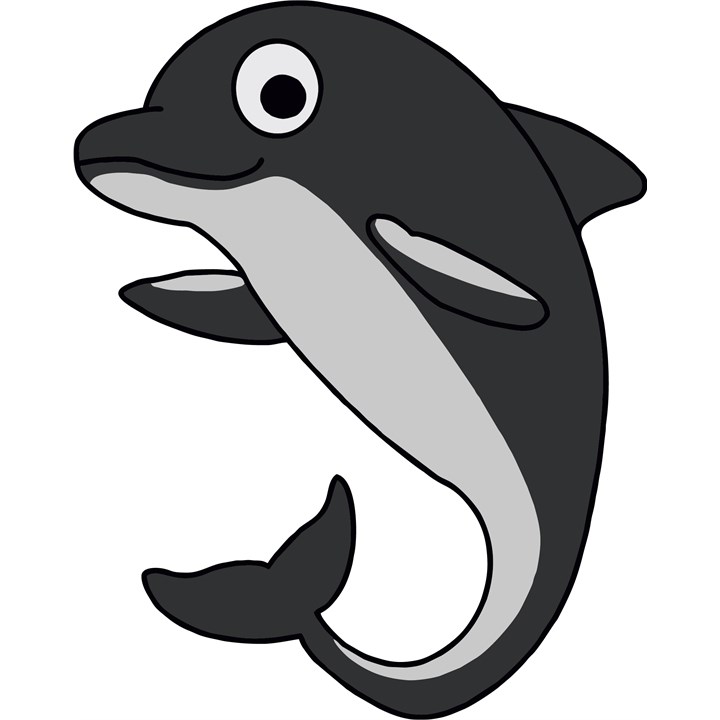 Dolphin S