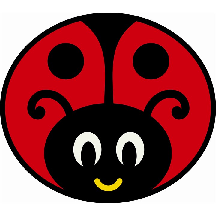 Ladybug S