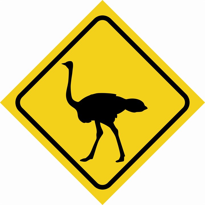 Warning ostrich