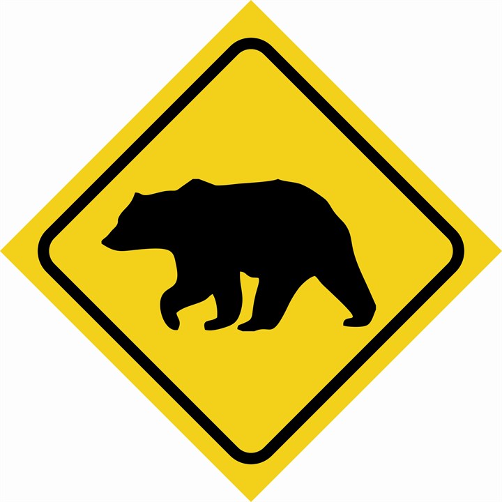 Warning bear