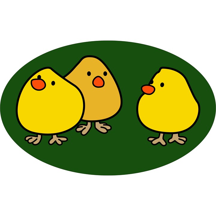 Chicks